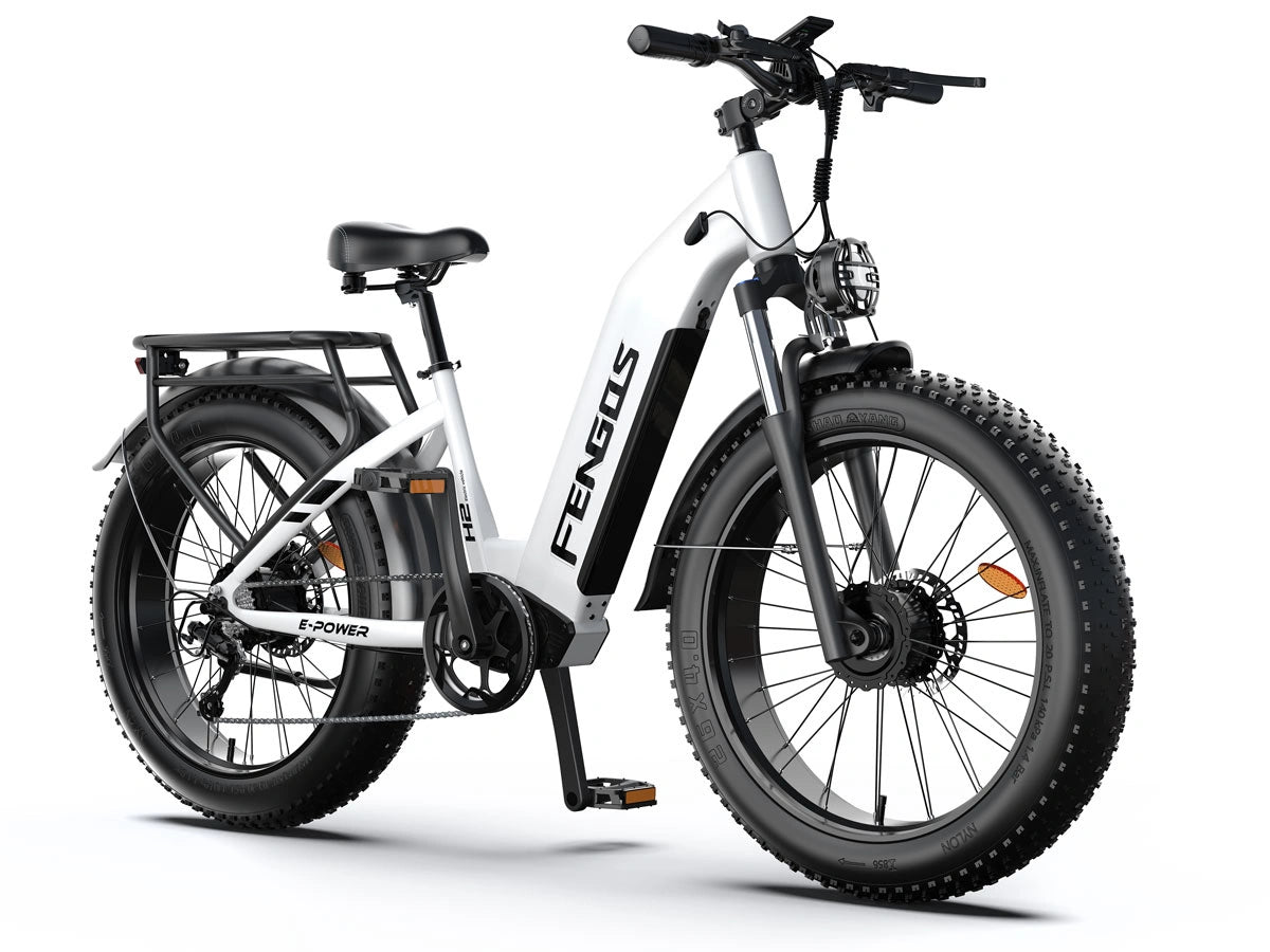 FENGQS H2 PRO Dual-Motor Off-Road Electric Bike