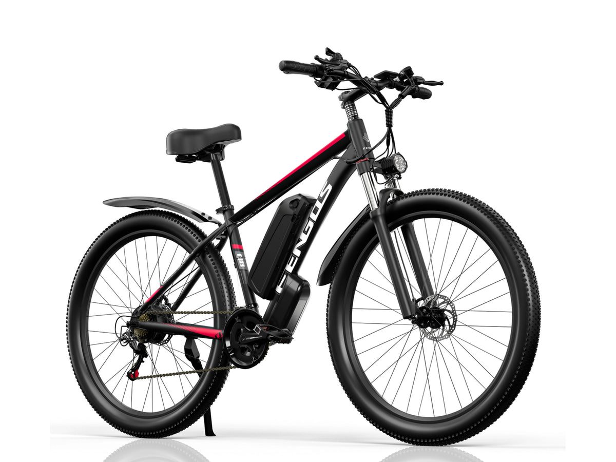 FENGQS Q8 Mountain Electric bike