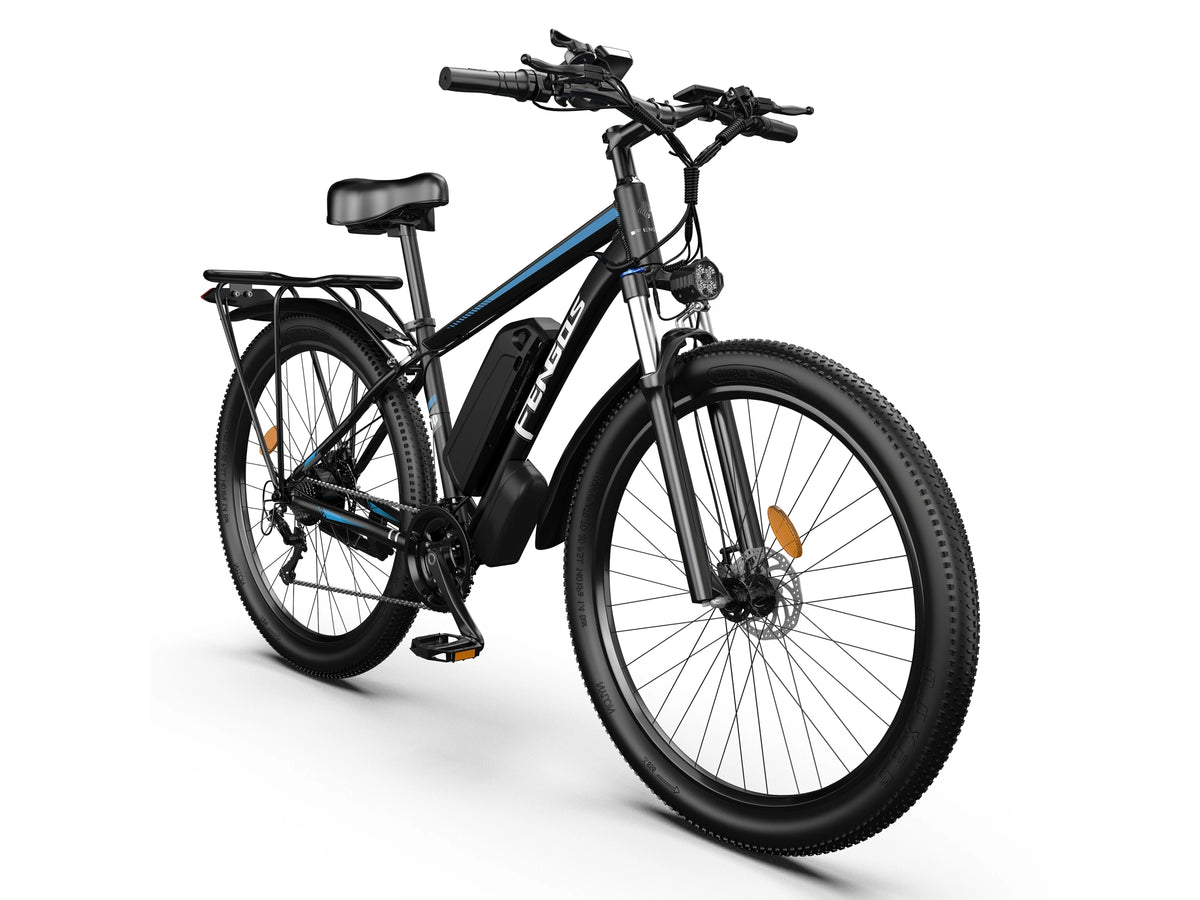 FENGQS Q8 Mountain Electric bike