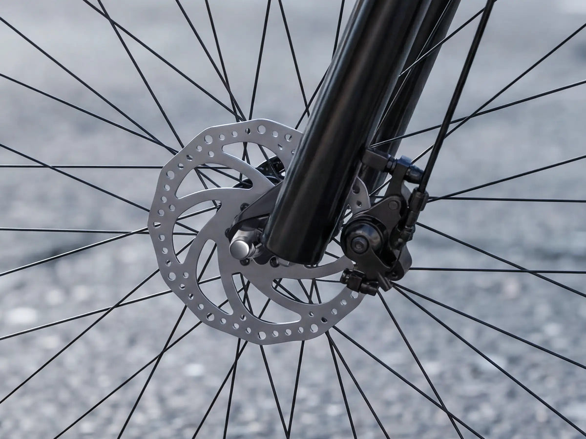 FENGQS Q8 Mountain Electric bike