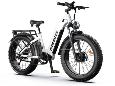 FENGQS H2 PRO Dual-Motor Off-Road Electric Bike
