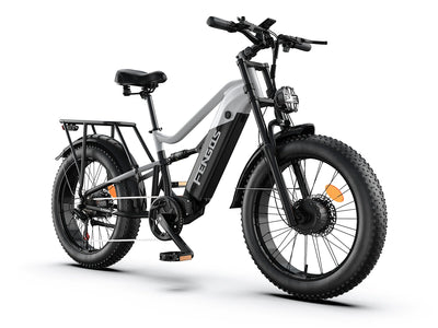 FENGQS H6 PRO Adult Off-Road Electric Bike