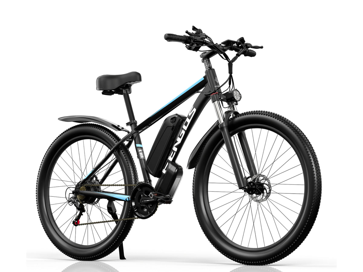FENGQS Q8 Mountain Electric bike