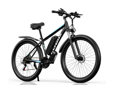 FENGQS Q8 Mountain Electric bike