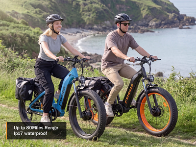 FENGQS H2 PRO Dual-Motor Off-Road Electric Bike