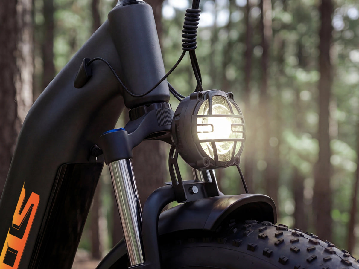 FENGQS H2 PRO Dual-Motor Off-Road Electric Bike