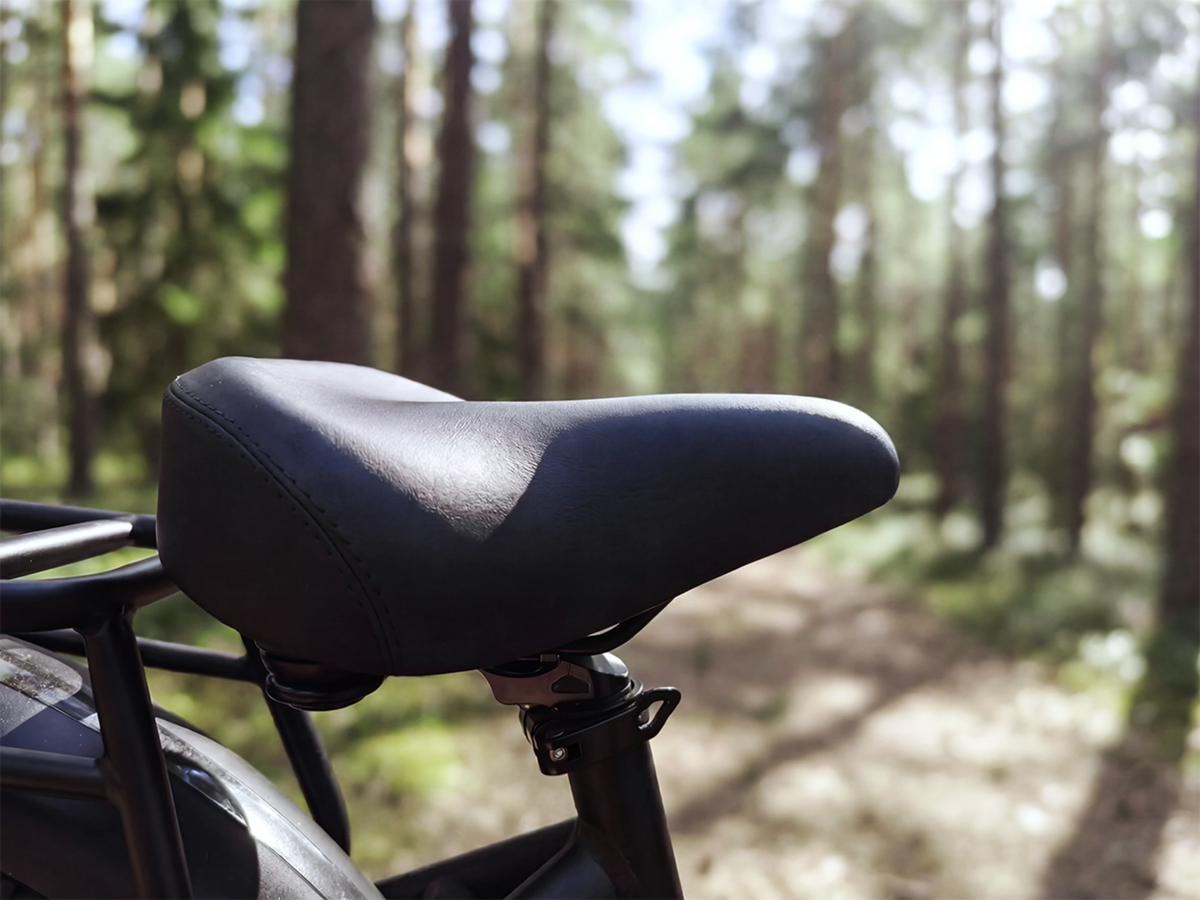 FENGQS H2 PRO Dual-Motor Off-Road Electric Bike