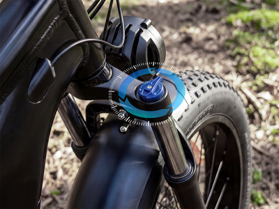 FENGQS H2 PRO Dual-Motor Off-Road Electric Bike