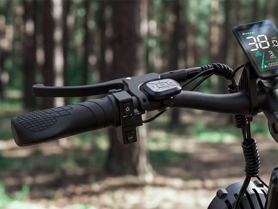 FENGQS H2 PRO Dual-Motor Off-Road Electric Bike